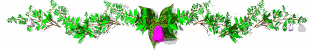 ดอกไม้ ภาพเคลื่อนไหว-gif